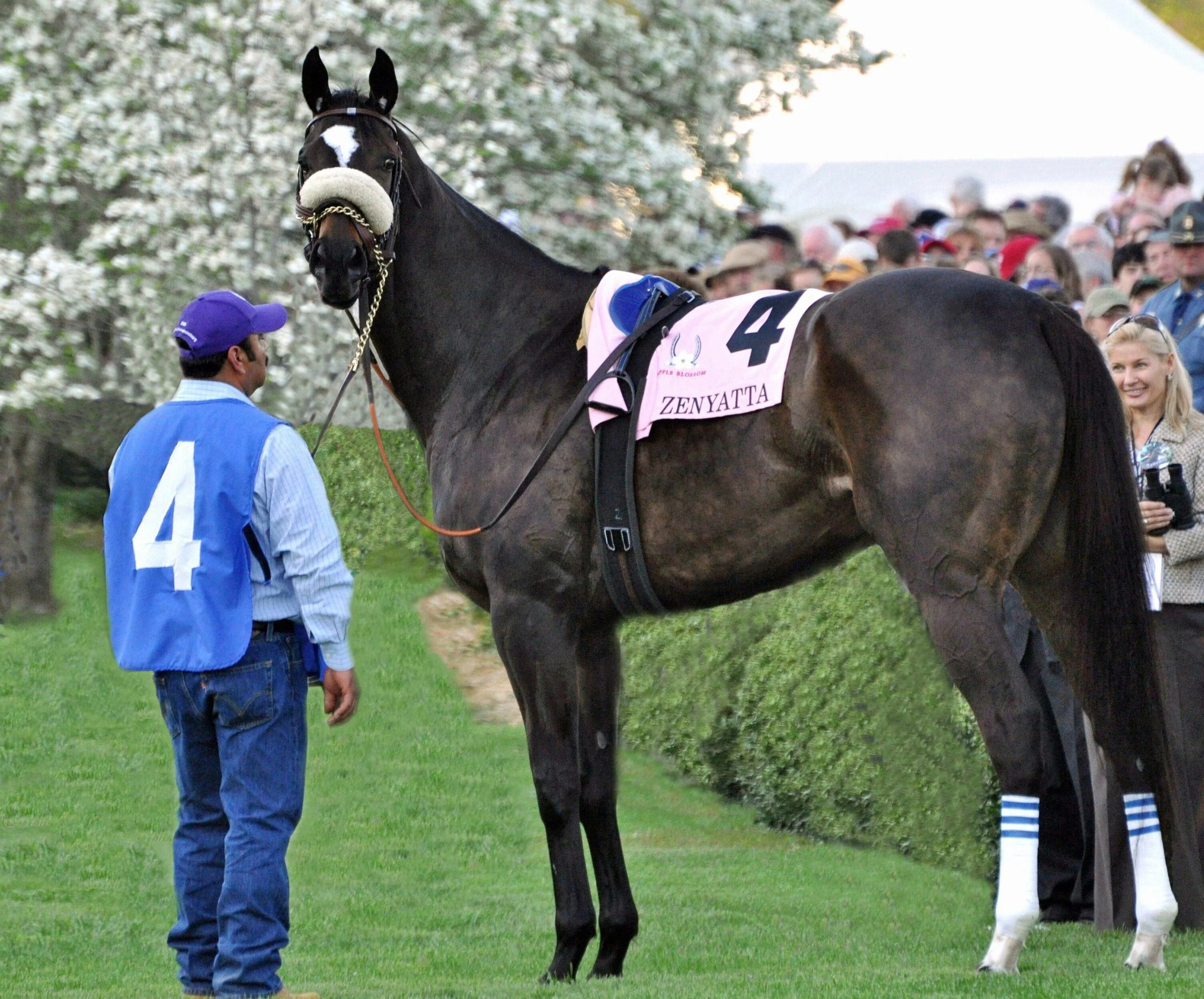 The Magical Places of American Horse Racing — All About The Race